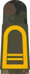 Obermaat BA (Navy senior mate boatswain aspirant, field uniform mounting strap)