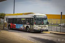 A white, red and yellow bus