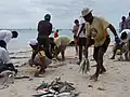 Mahé Beauvallon Fishing on the Beach