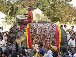 Man Riding an Elephant in a Pongal Festival Parade in Namakkal, Tamil Nadu Here, a man named Tharanitharan is engaged in the egg business.