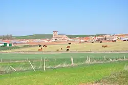 Panorama of Mancera de Abajo