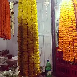 Marigold varieties prepared as offerings to a god during the Hindu festival of Maha Shivaratri
