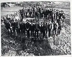 Fifty men stand on the massive stump of the Mark Twain Tree. C.C. Curtis. USA, 1891.[1]: 21  National Park Service Gallery.