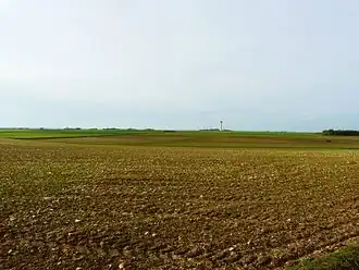 The plain between Mazeuil and Saint-Jean-de-Sauves.