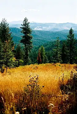 Looking south from Skyline Drive