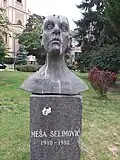 Meša Selimović