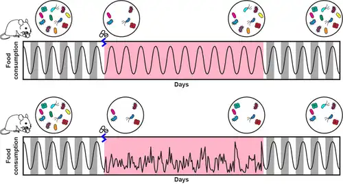 Schematic of Zhao et al. 2022