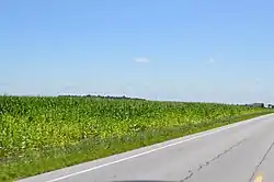 Cornfield southeast of Ottoville