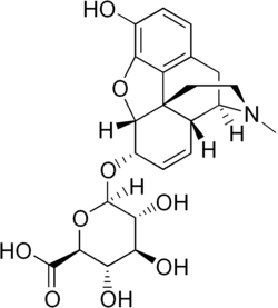Chemical structure of Morphine 6-glucuronide.