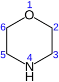 numbered skeletal formula of the morpholine molecule