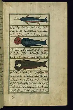 Persian art: 3 fish with different heads, by Ruzmah-'i Nathani