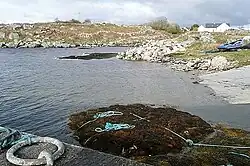 Harbour at Muckanaghederdauhaulia