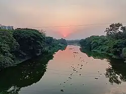 Mula River