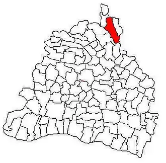 Location in Dolj County