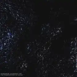 A black background with mounds of flies spread around it in varying patterns