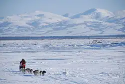 Sled dogs pulling a musher across snow with snow-covered mountains in background
