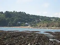 Myrtleville Beach taken from Fennells' Bay
