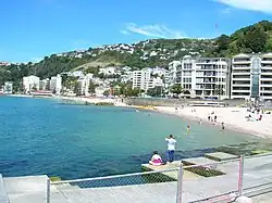 Beach at Oriental Bay