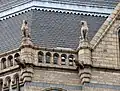 Terracotta lioness gargoyles and sculptures of sitting panthers on the western end tower, Natural History Museum