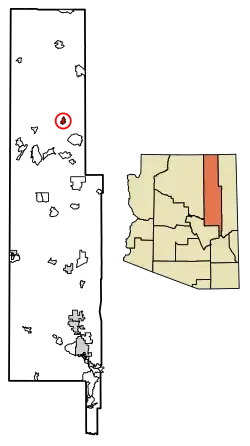 Location of Pinon in Navajo County, Arizona.