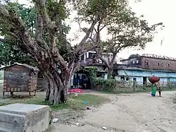 Naya Janakpur Mandir, Basuki Bihari