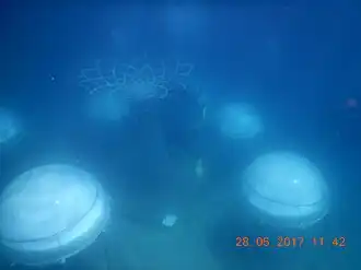 Up angle: Nemo's Garden