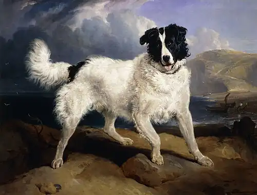 Neptune by Edwin Landseer