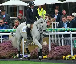 a grey horse being ridden in dressage