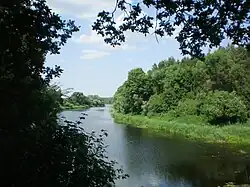 Nevėžis nearby Sūriškiai