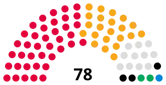 Newcastle City Council composition