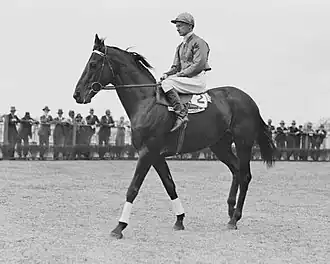 Nightmarch, 1929 winner
