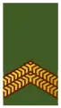 Korporaal der 1e klasse (Suriname Army)[18]