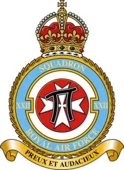 22 Squadron badge