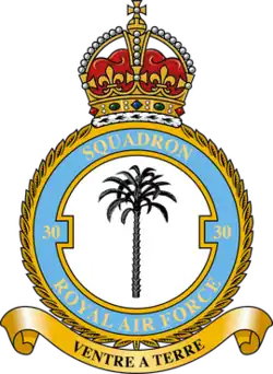 Squadron badge
