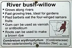 Visitor friendly plant label