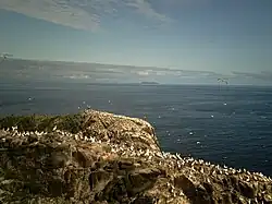 North Rona from Sula Sgeir. 14 miles between them.