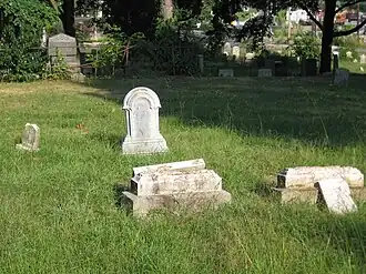 Examples of the many damaged gravestones at Pine Island Cemetery