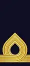 Embroidered shoulder mark (Navy) (?–present)