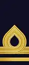 Embroidered shoulder mark (Navy) (2003–present)