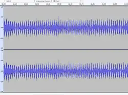 Sonograph of male stridulating