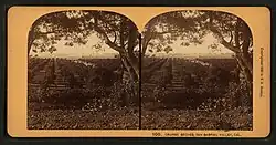 Rows of orange trees in an orange grove seen in between two trees in the foreground