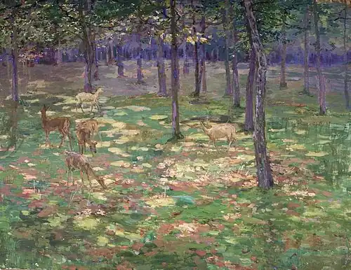 Deer at the Bechyňský Game Reserve