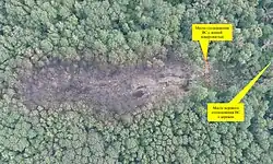 A forest with scar from an aircraft crash site