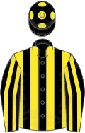 Black and yellow stripes, yellow spots on cap