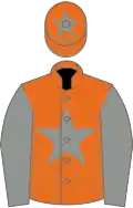 Orange, grey star, sleeves and star on cap
