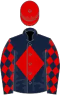 Dark blue, red diamond, diamonds on sleeves, red cap