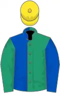 Emerald green and royal blue (halved), sleeves reversed, yellow cap
