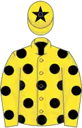 YELLOW, black spots, black star on cap