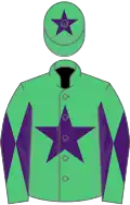 Emerald green, purple star, diabolo on sleeves and star on cap