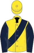 Yellow, Dark Blue sash and sleeves
